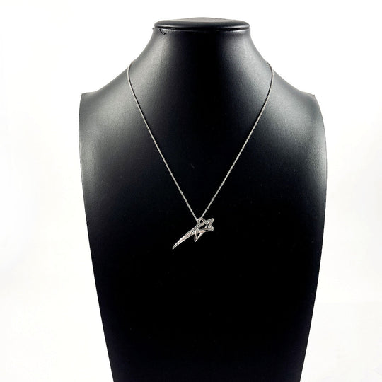 TIFFANY&Co. Necklace Silver925 Silver Paloma Picasso shooting star