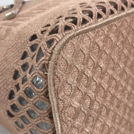 Christian Dior Handbag canvas pink logo mesh vanity bag Women Used Authentic