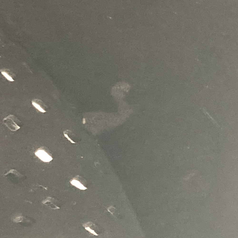 LOUIS VUITTON Shoulder Bag M94072 Calf leather black Perfo Flore Saumur30