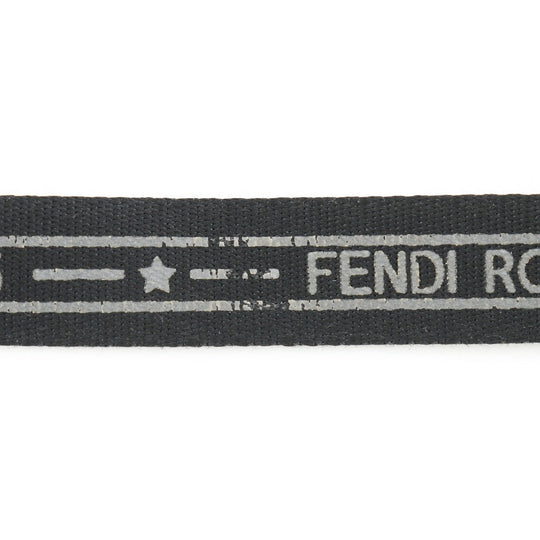 FENDI Waist bag 7VA446 Nylon canvas Brown Sling bag Pecan Stripe unisex(Unisex) Used Authentic