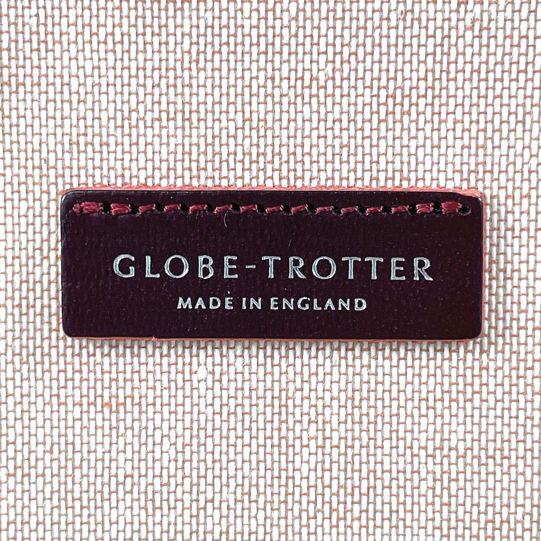 GLOBE TROTTER Handbag Leather, Vulcan Fiber Dark brown London Square Centenary 2WAY Mini Trunk