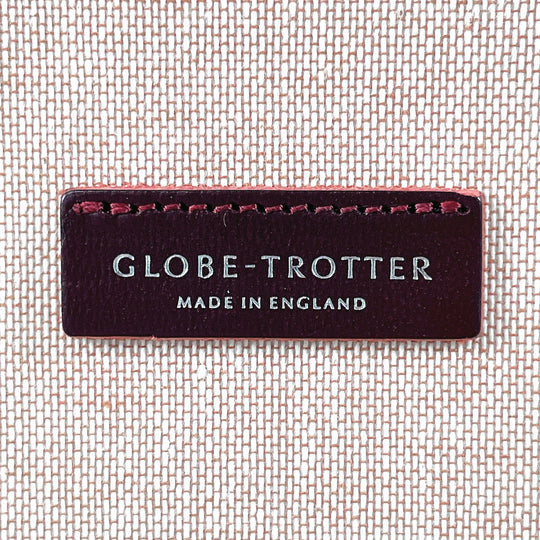 GLOBE TROTTER Handbag Leather, Vulcan Fiber Dark brown London Square Centenary 2WAY Mini Trunk