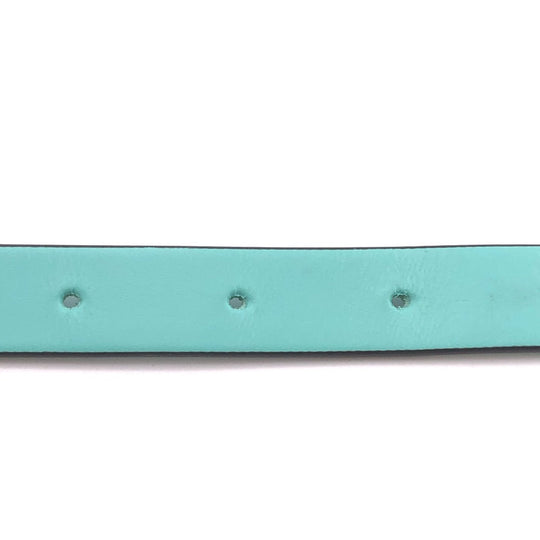 TIFFANY&Co. Other accessories leather TIFFANY & Co. Blue Pet collar Women XS Used Authentic