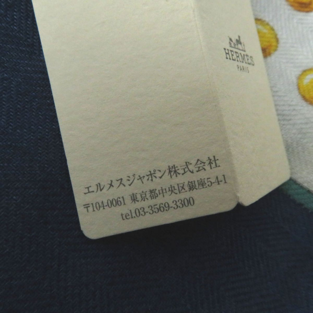 HERMES Stall cashmere Blue type Multi