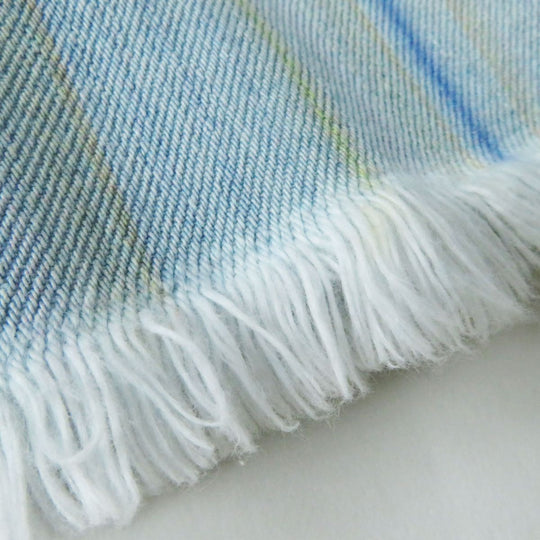 CHANEL skirt cotton Light blue x multi stripe pattern 34